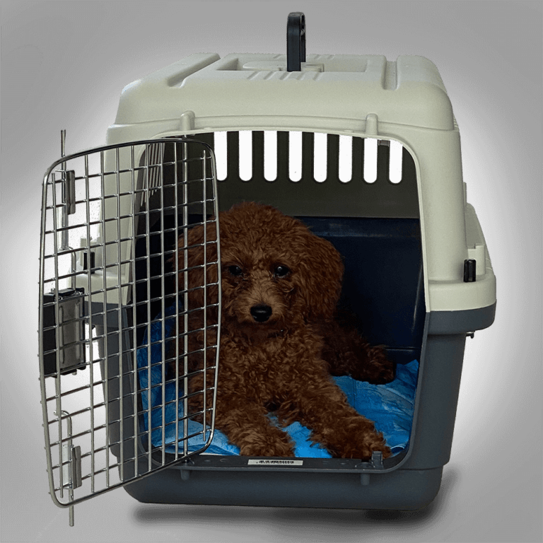 Pros And Cons Of Crate Training Puppy Care Central